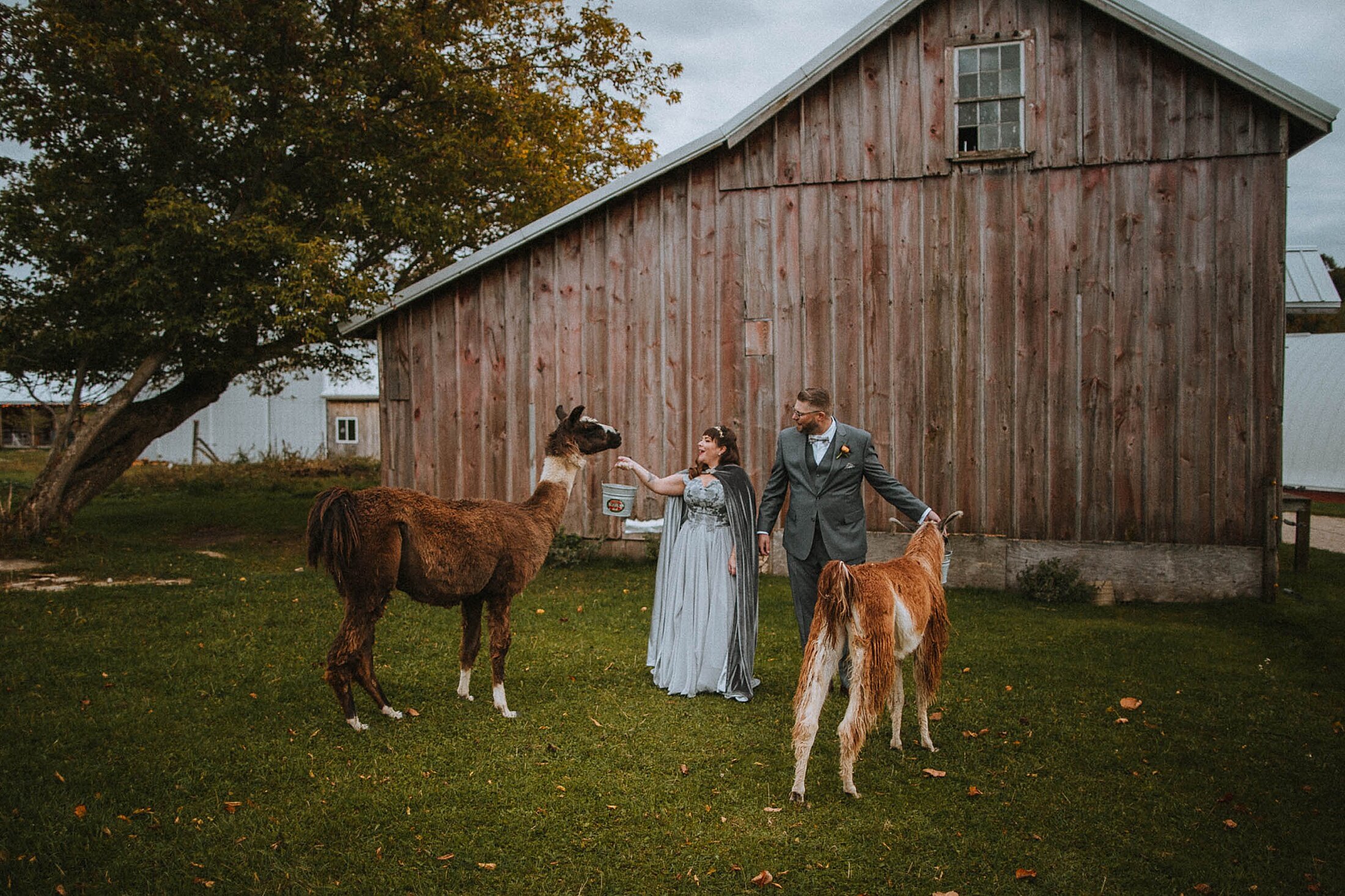 r-h_Pioneer-Creek-Farm-Wedding_intimate-wedding_liller-photo_0021.jpg